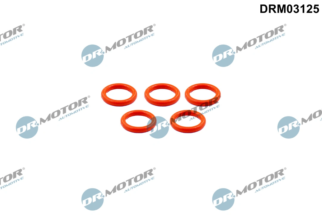 Seal Ring